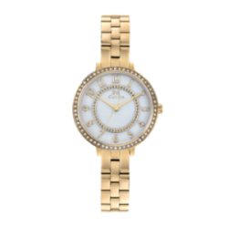 Montre CLYDA tout acier doré fond blanc nacré chiffré serti d'oxydes